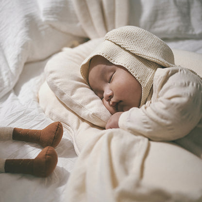 ララス枕セット (カバー+クールキット)